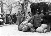 Εκτοπισμός  ελλήνων  εβραίων  
